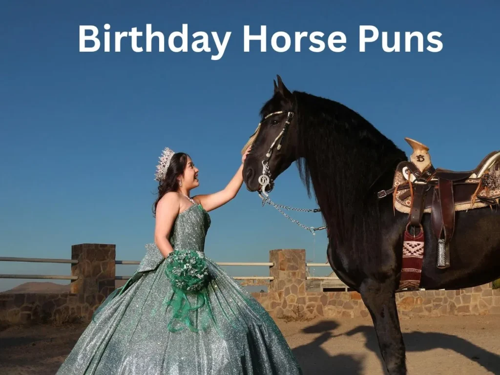 Birthday Horse Puns
