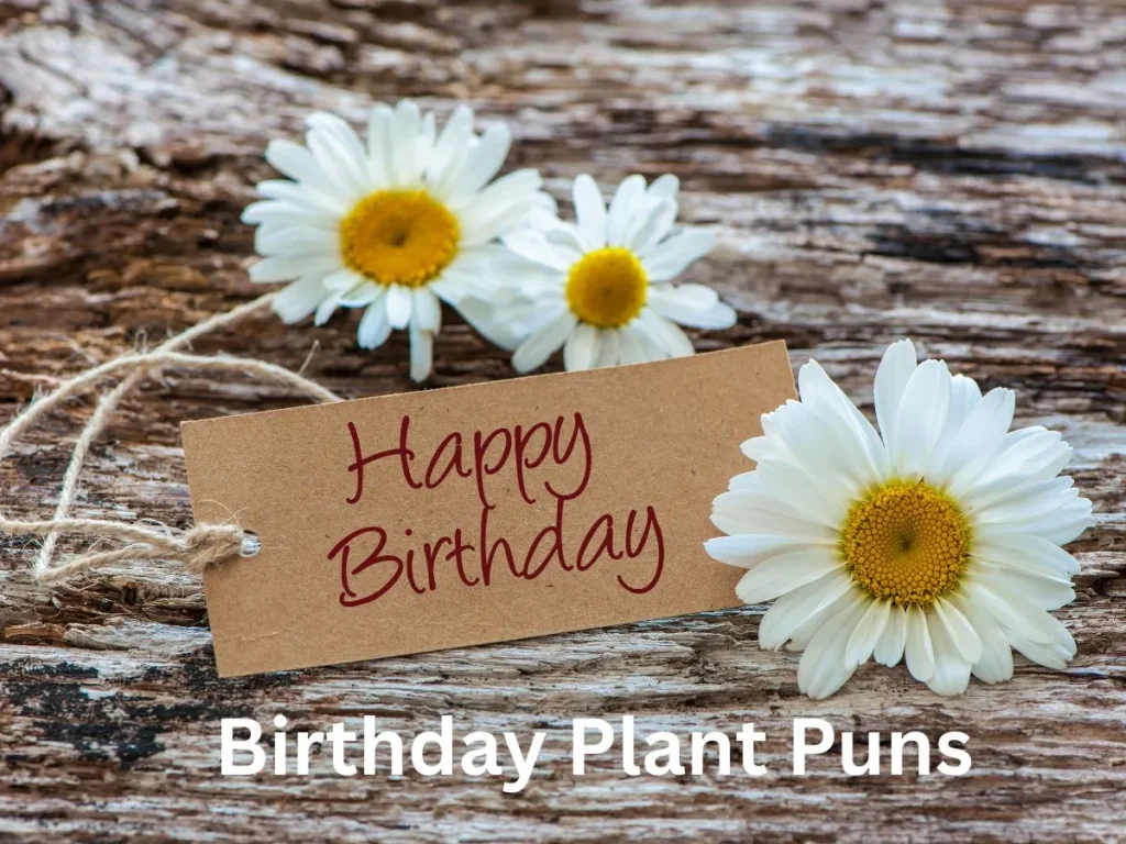 Birthday Plant Puns