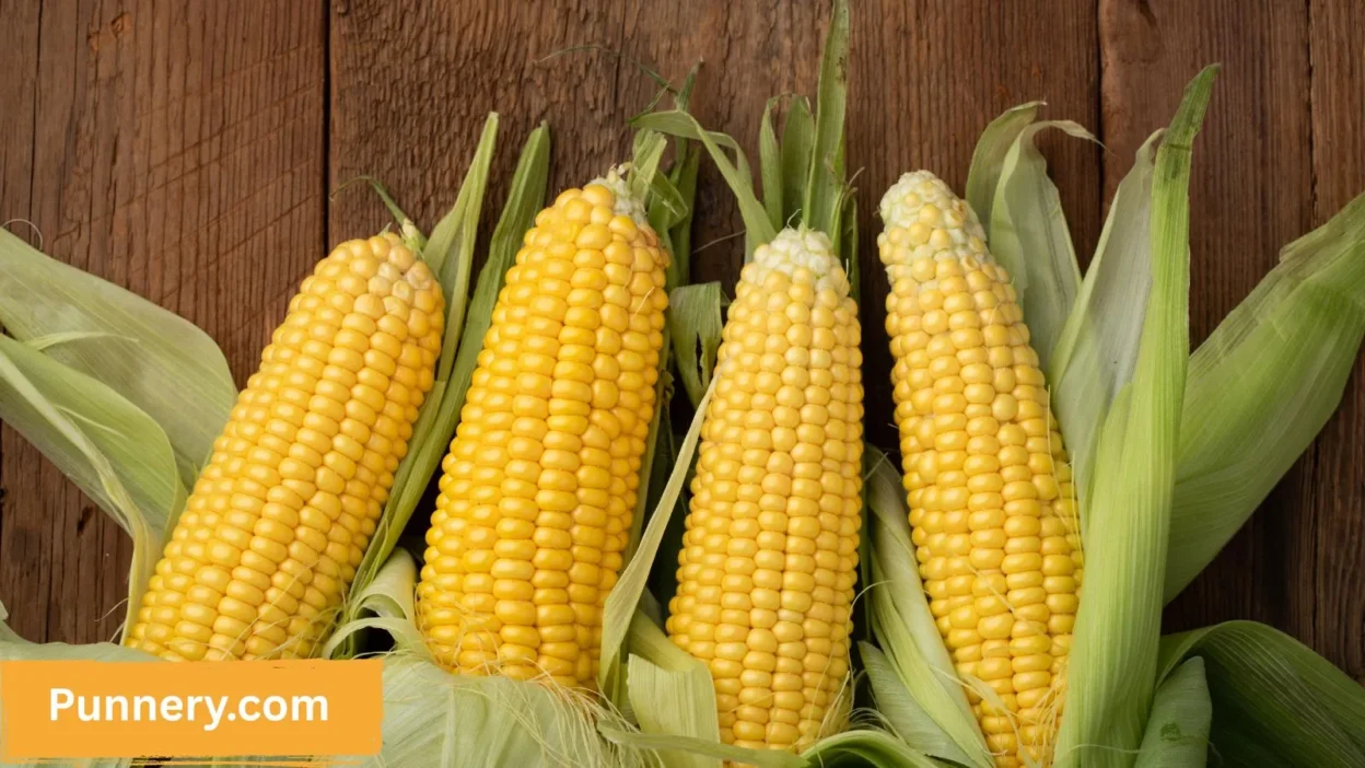Corn Puns