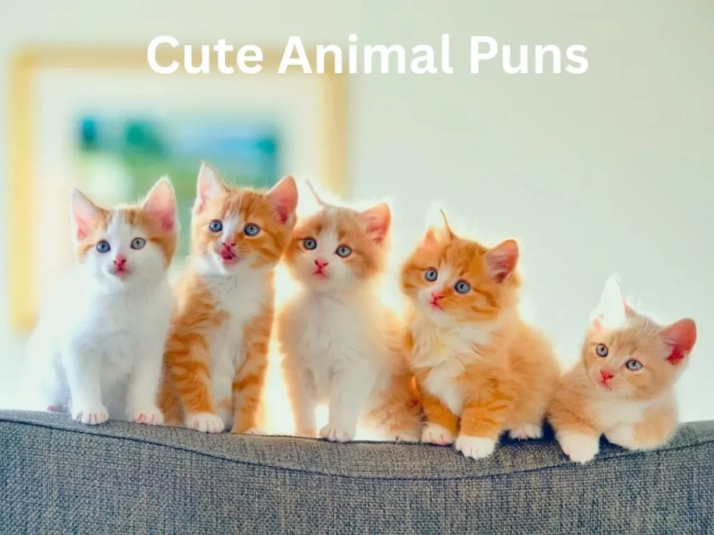 Cute Animal Puns