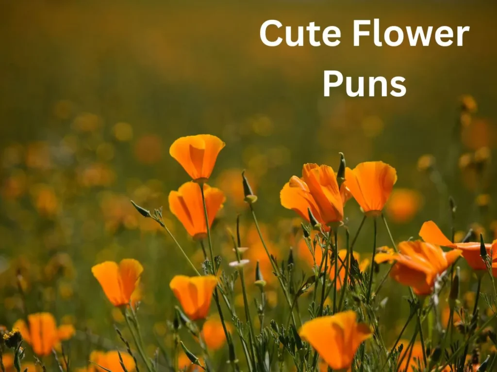 Cute Flower Puns