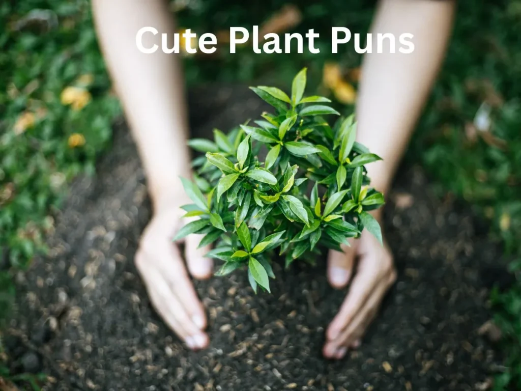 Cute Plant Puns