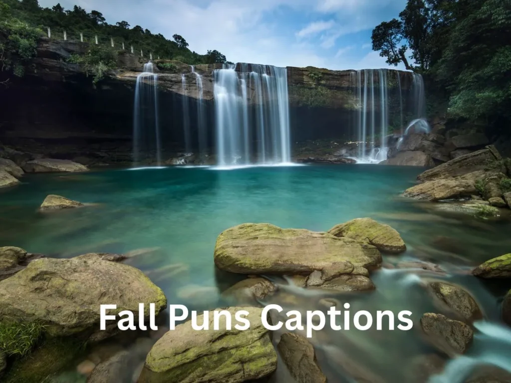 Fall Puns Captions