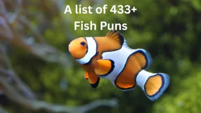 Fish Puns