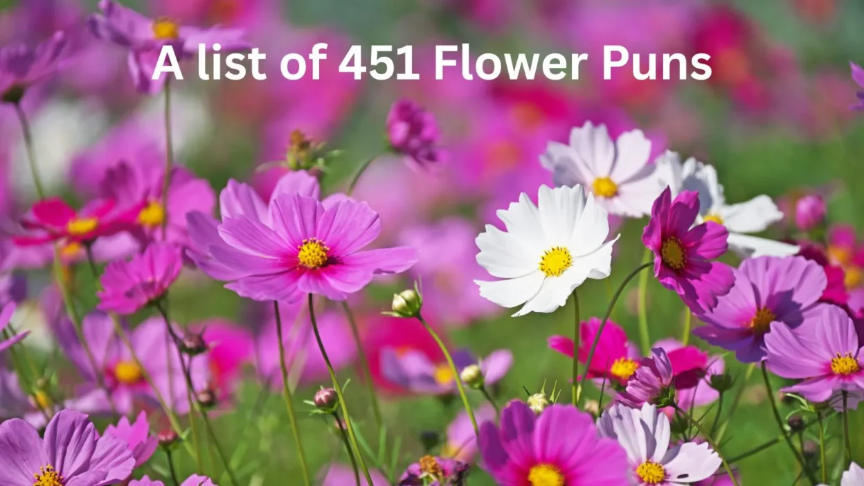 Flower Puns