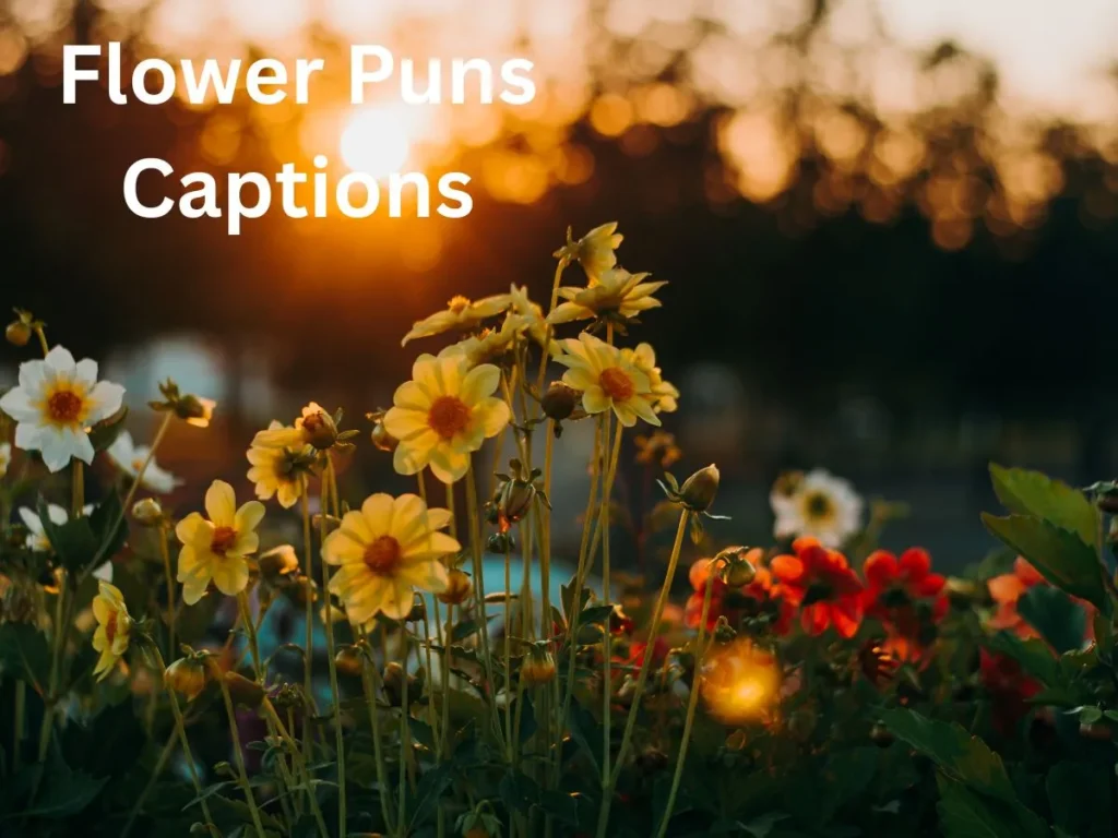 Flower Puns Captions