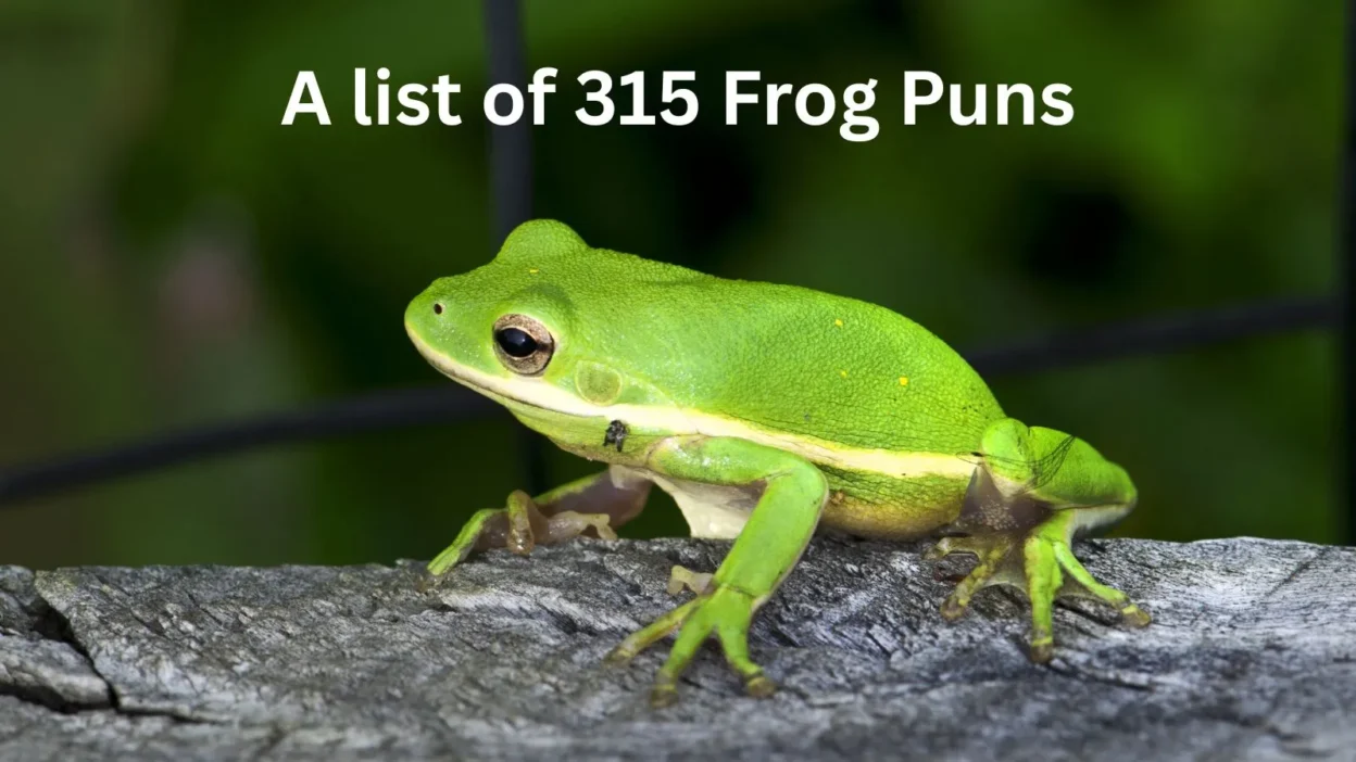 Frog Puns