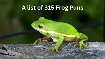 Frog Puns