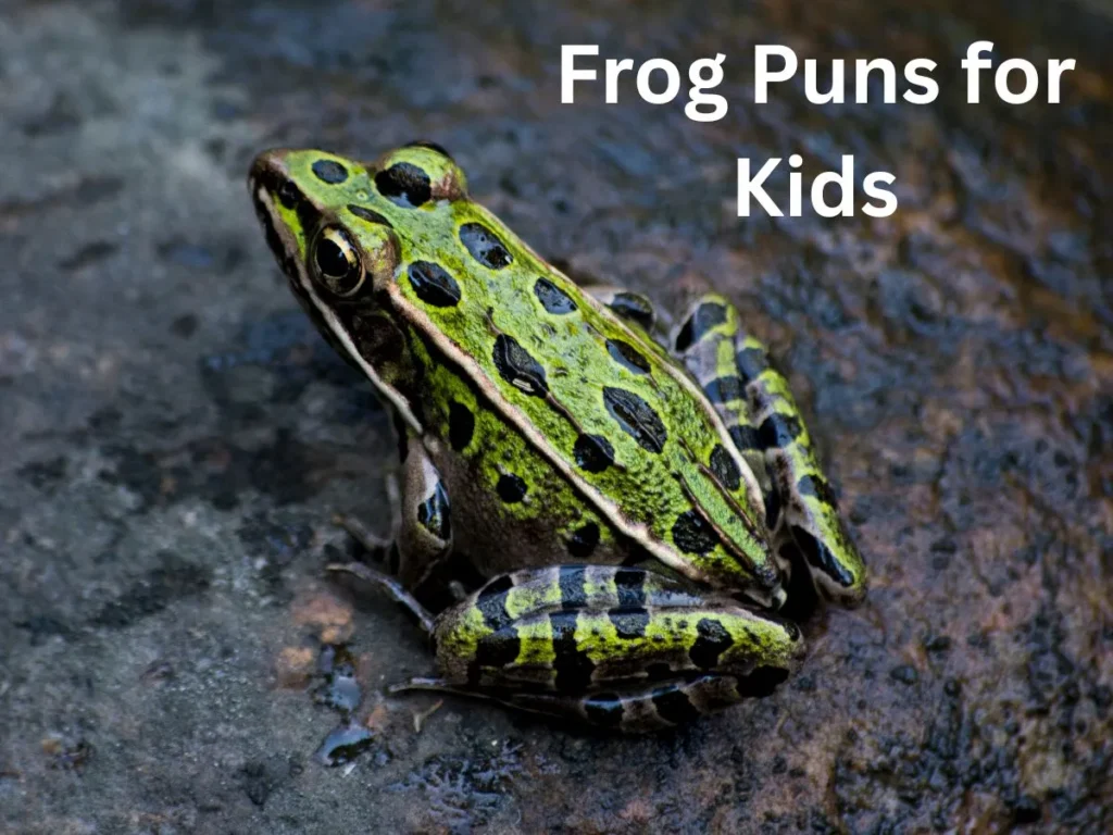Frog Puns for Kids