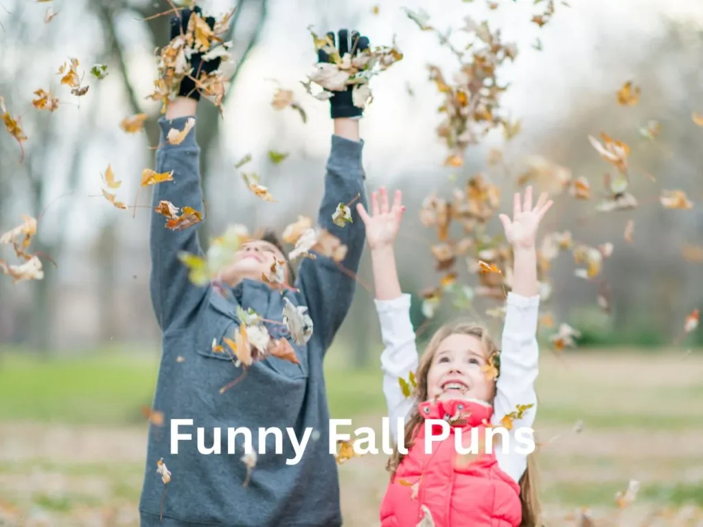 Funny Fall Puns