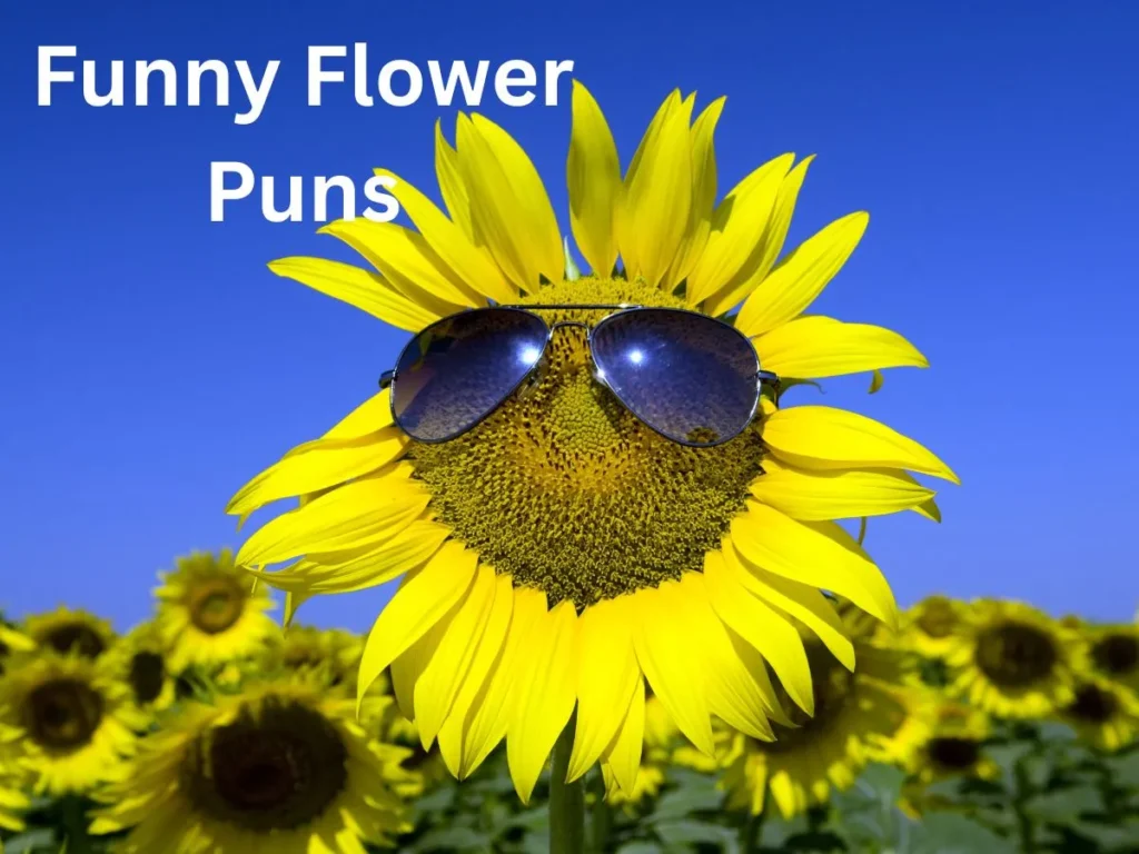 Funny Flower Puns
