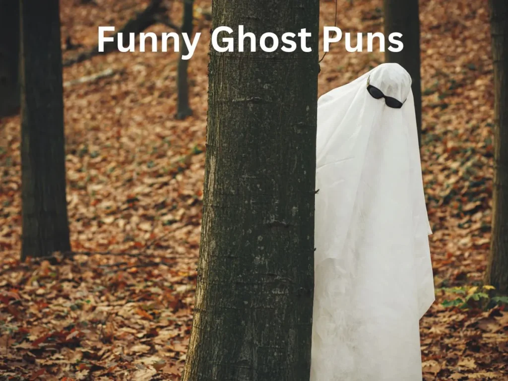 Funny Ghost Puns 