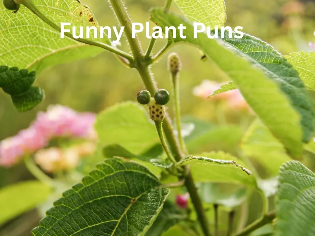 Funny Plant Puns