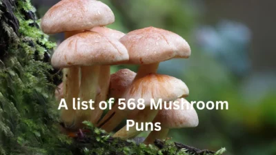 Mushroom Puns