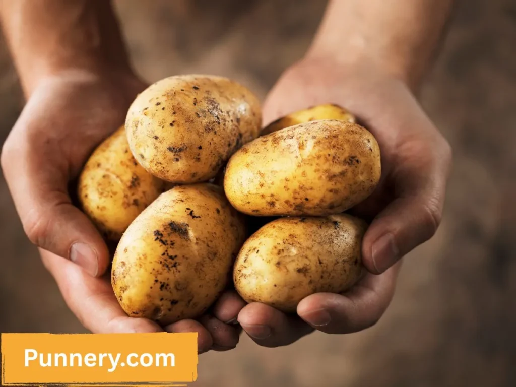 Potato Puns One Liners