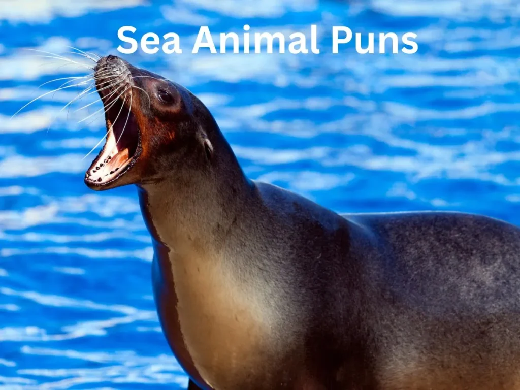 Sea Animal Puns