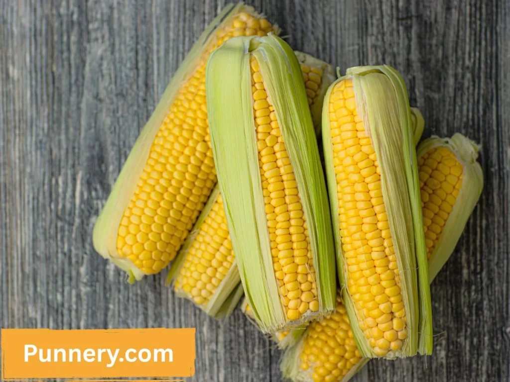 Short Corn Puns