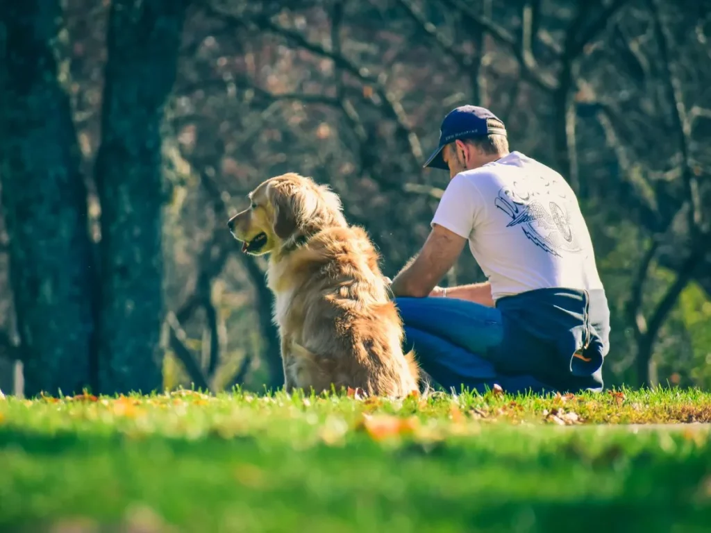Animal Fathers Day Puns