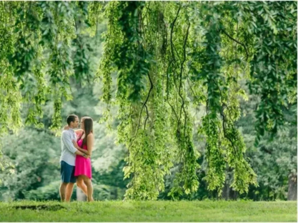 Cute Garden Puns for Instagram