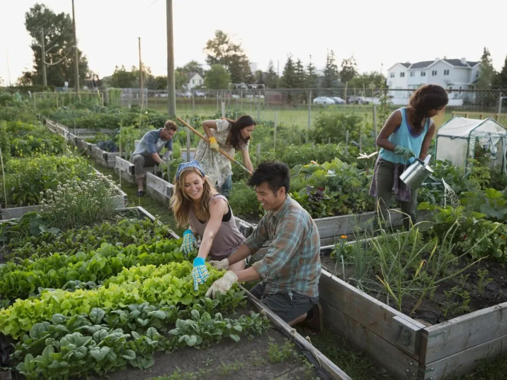 Vegetable Garden Puns for Gardeners