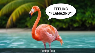 Flamingo Puns