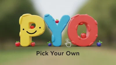 PYO Meaning in Text